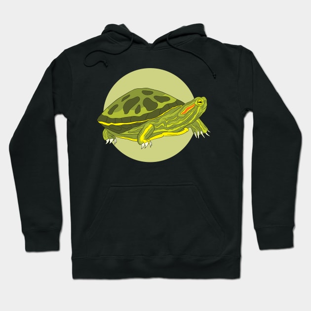 Turtle Illustration Hoodie by Shalini Kaushal